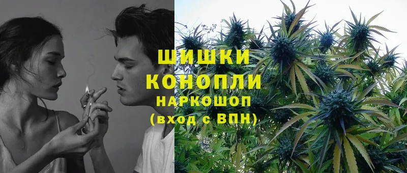 Бошки Шишки White Widow  Сорочинск 